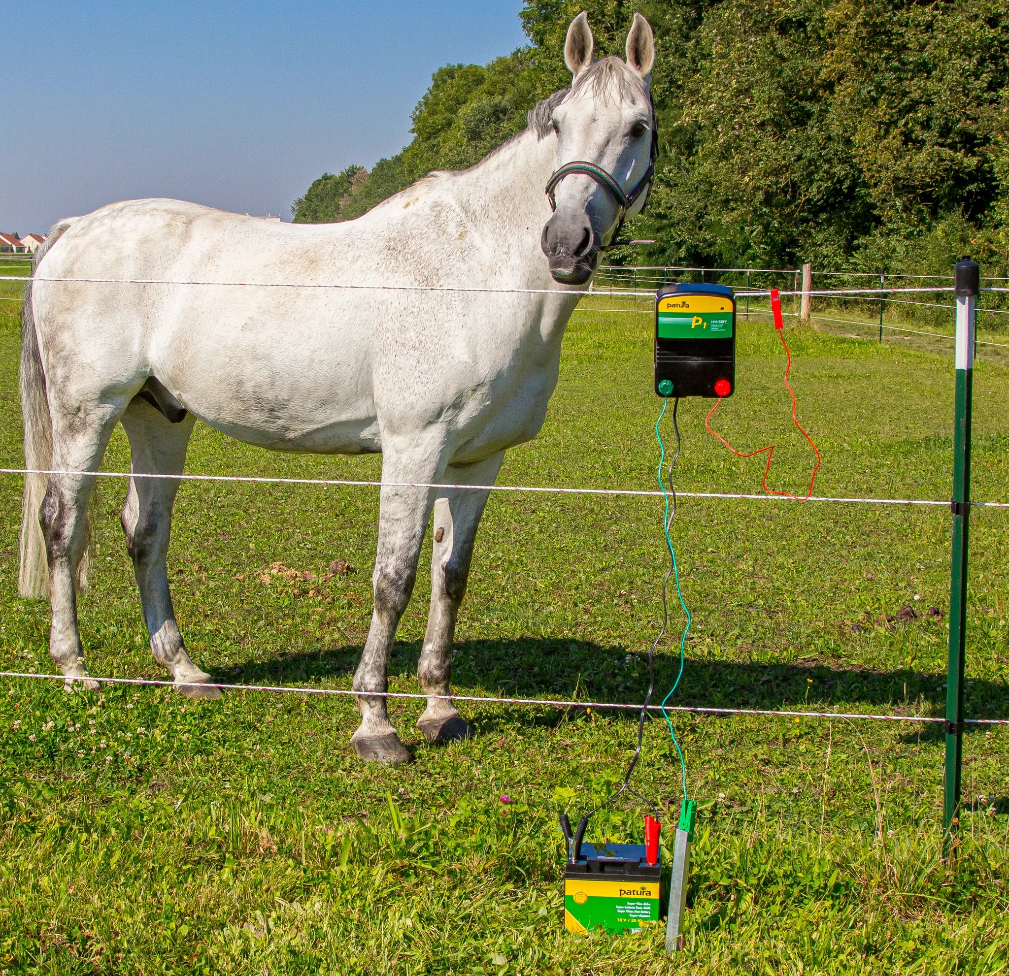 P3, Weidezaun-Kombigerät, 230V/12V