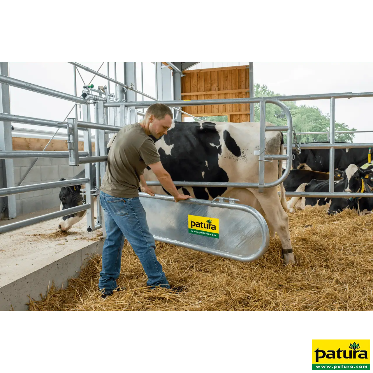 Abtrennung für Tierbehandlung, 1,9 m x 1,4 m, 69 kg