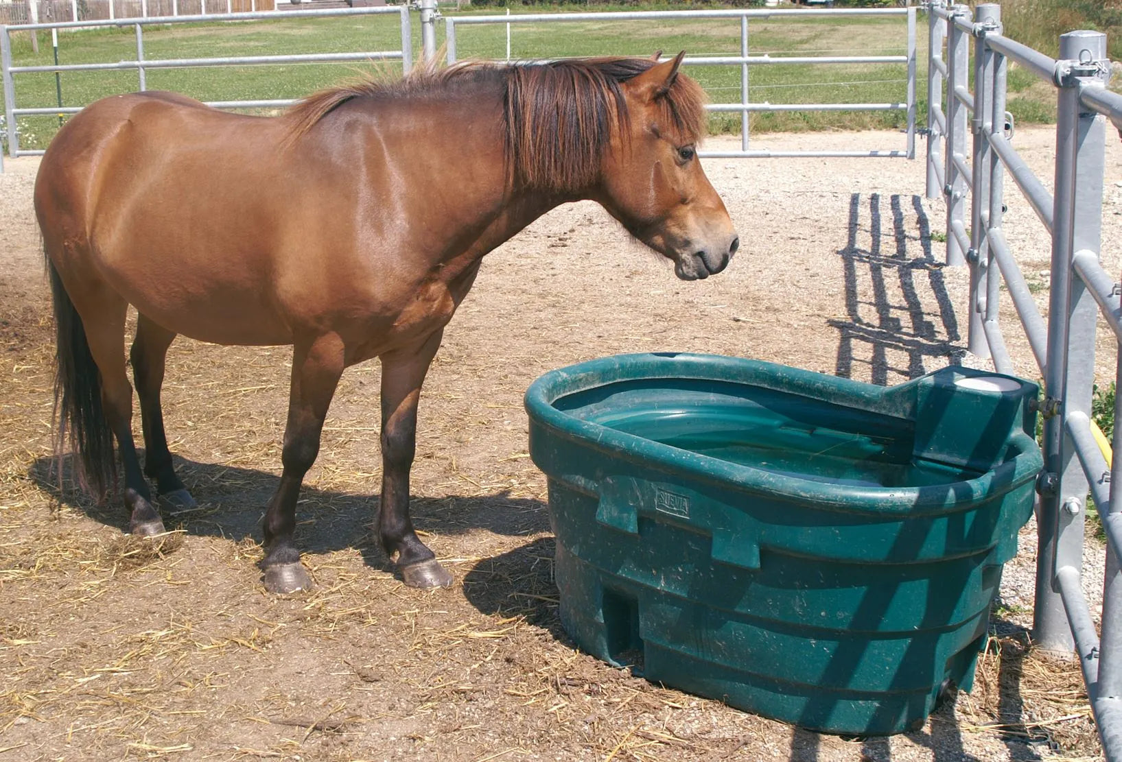 Weidetrog Mod. WT600 ohne Schwimmerventil