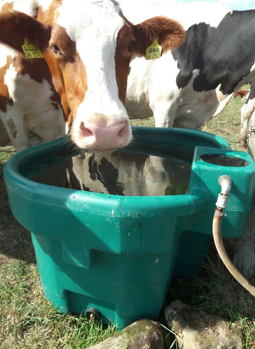 Weidetrog Mod. WT600 ohne Schwimmerventil