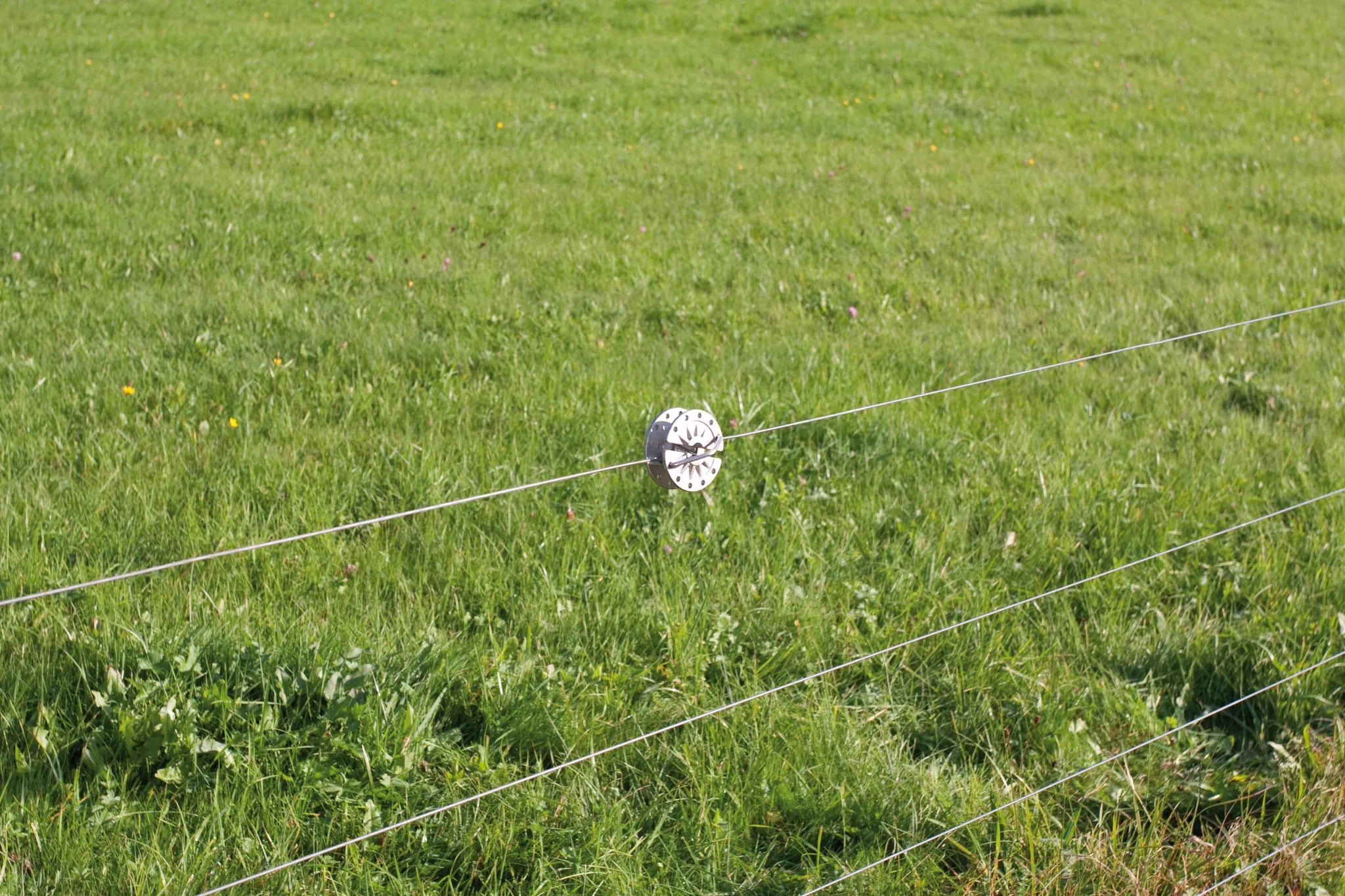 Rotierender Spanner, für Draht und Seil (25 Stück / Pack)