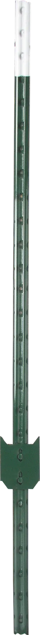 T-Pfosten Profi, l = 1,52 m, grün lackiert,