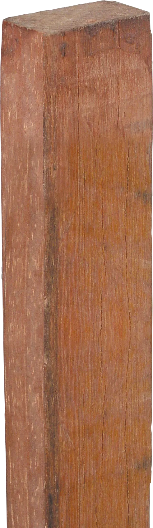 PATURA-Hartholz-Latte, isolierend, 1540 x 38 x 26 mm