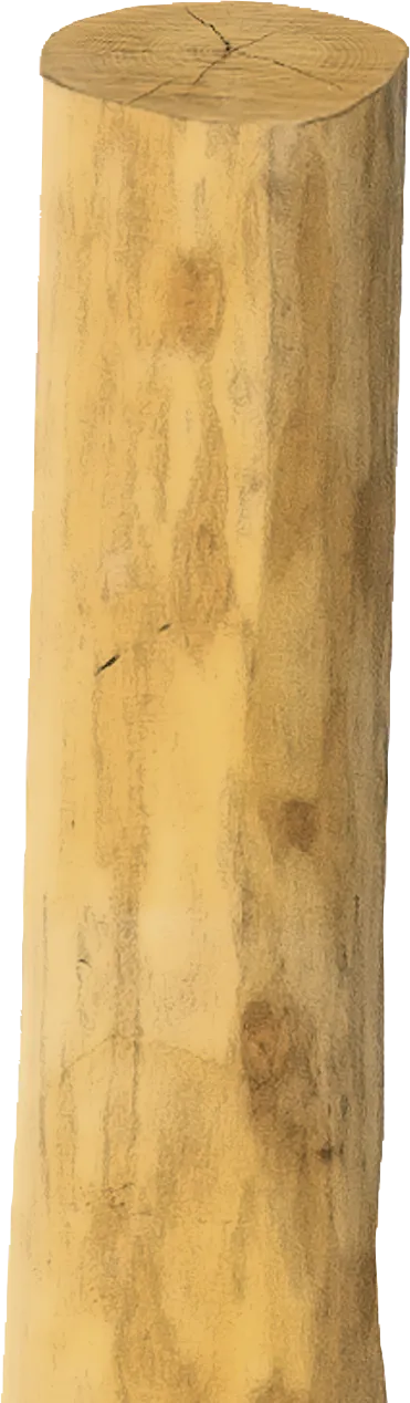 Robinienpfahl, rund, geschliffen, gehobelt, gefast, 4-fach gespitzt, 3200 mm, Ø 16–18 cm