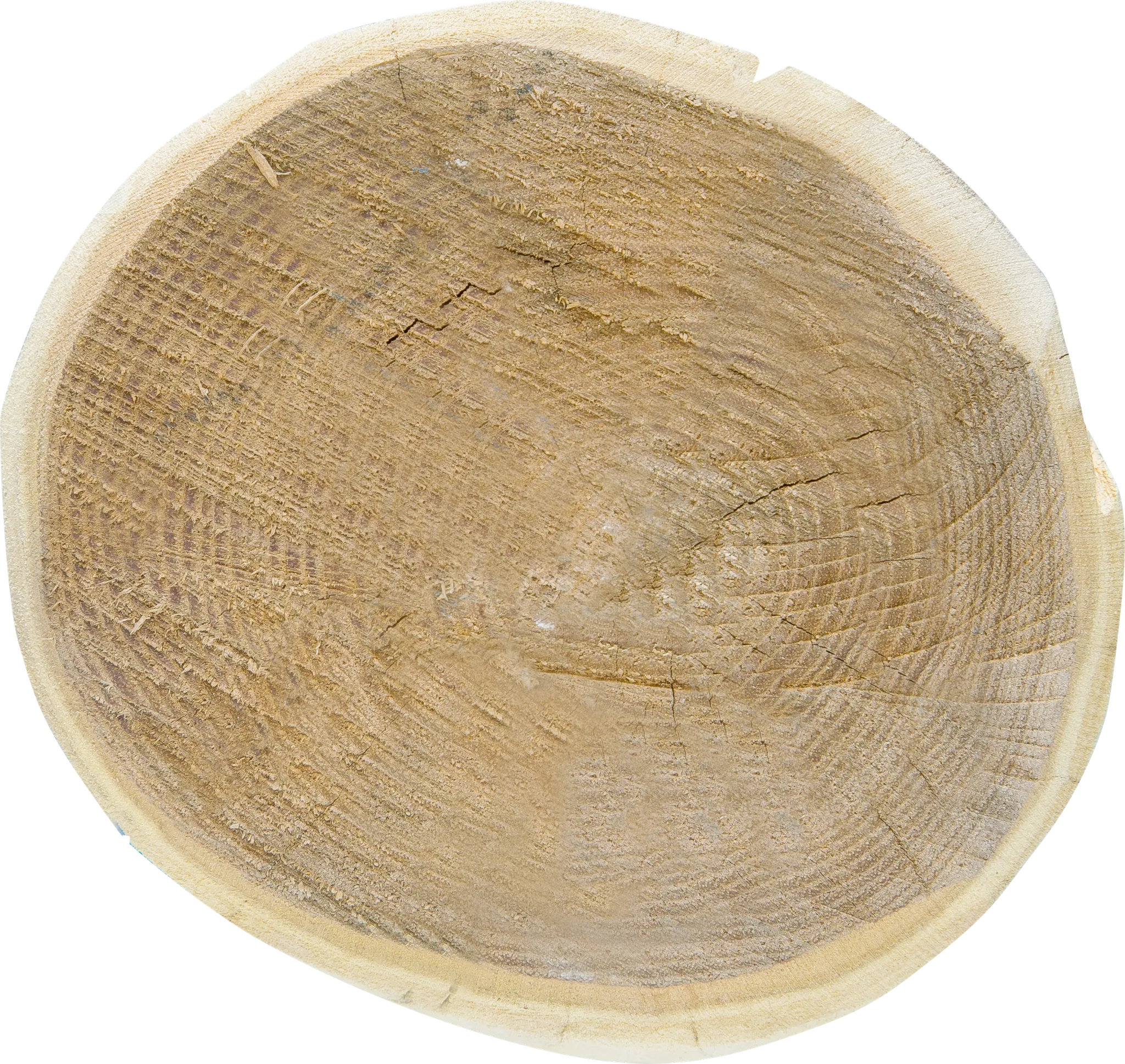 Robinienpfahl, rund, geschliffen, 3500 mm, d=16-18 cm, gefast, gehobelt,