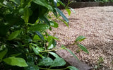 Rasenkante aus Recyclingmaterial