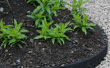 Beeteinfassung aus Recyclingmaterial