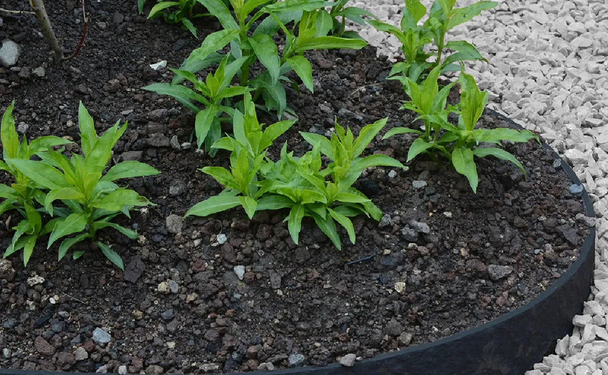 Beeteinfassung aus Recyclingmaterial