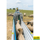 PATURA 3-Wege-Wiege- und Sortierbox, Druckluftbetrieb, für Schafe
