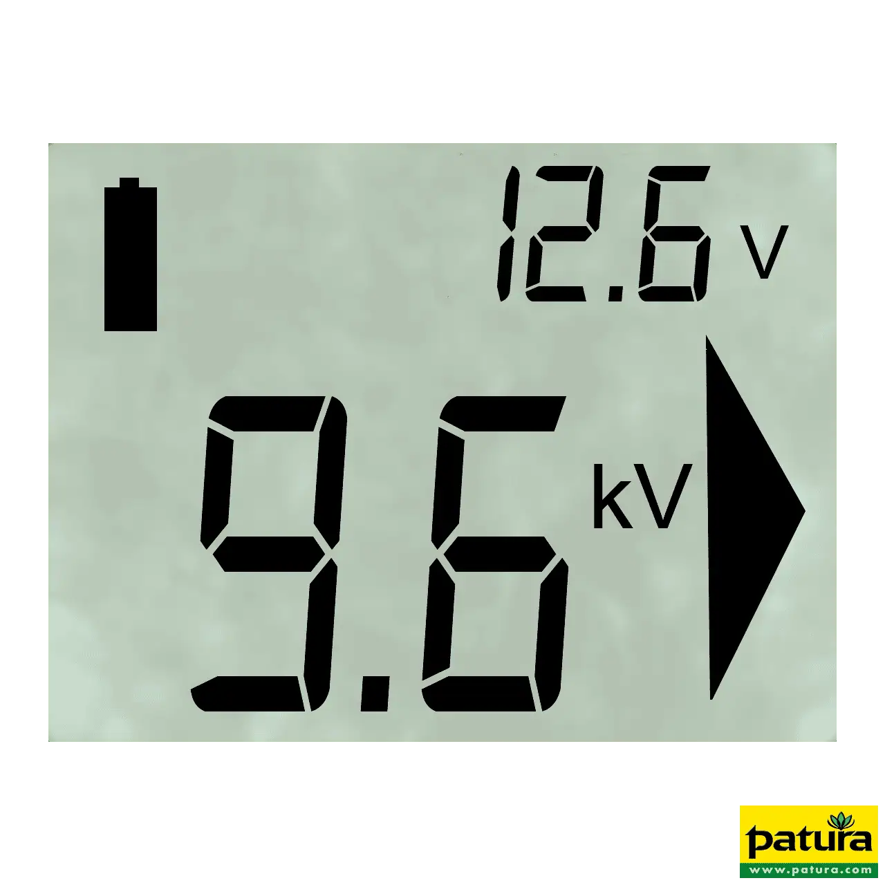 P6000, Multifunktionsgerät 230V / 12V MaxiPuls-Technologie, 15 Joule