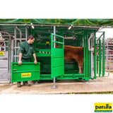 Behandlungsstand A6000, Heckschiebetür, Fangkorb 2-flügelig, stufenlose Halsfangvorrichtung, 3,2 m x 1,3 m x 2,05 m, 661 kg