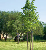 Rundpfosten aus Recyclingmaterial
