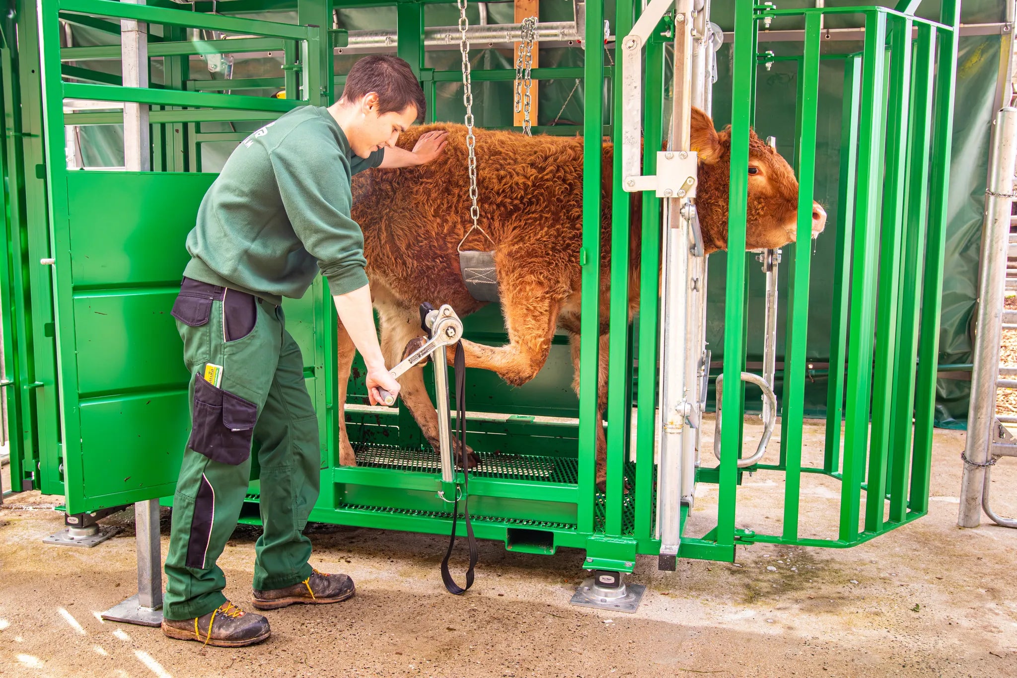 Behandlungsstand A6000 mit Heckschiebetür, Fangkorb 2-flügelig