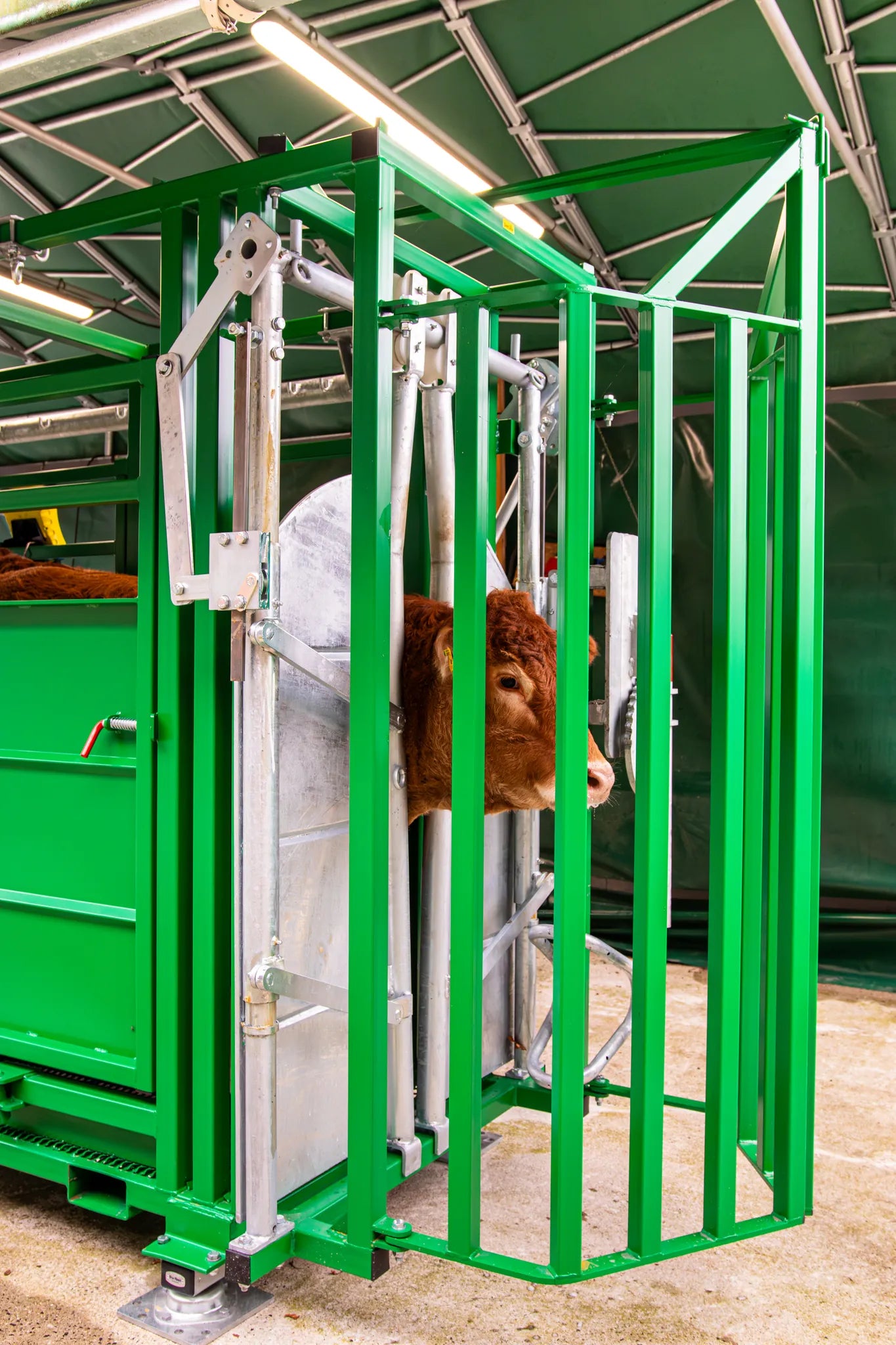 Behandlungsstand A6000 mit Heckschiebetür, Fangkorb 2-flügelig