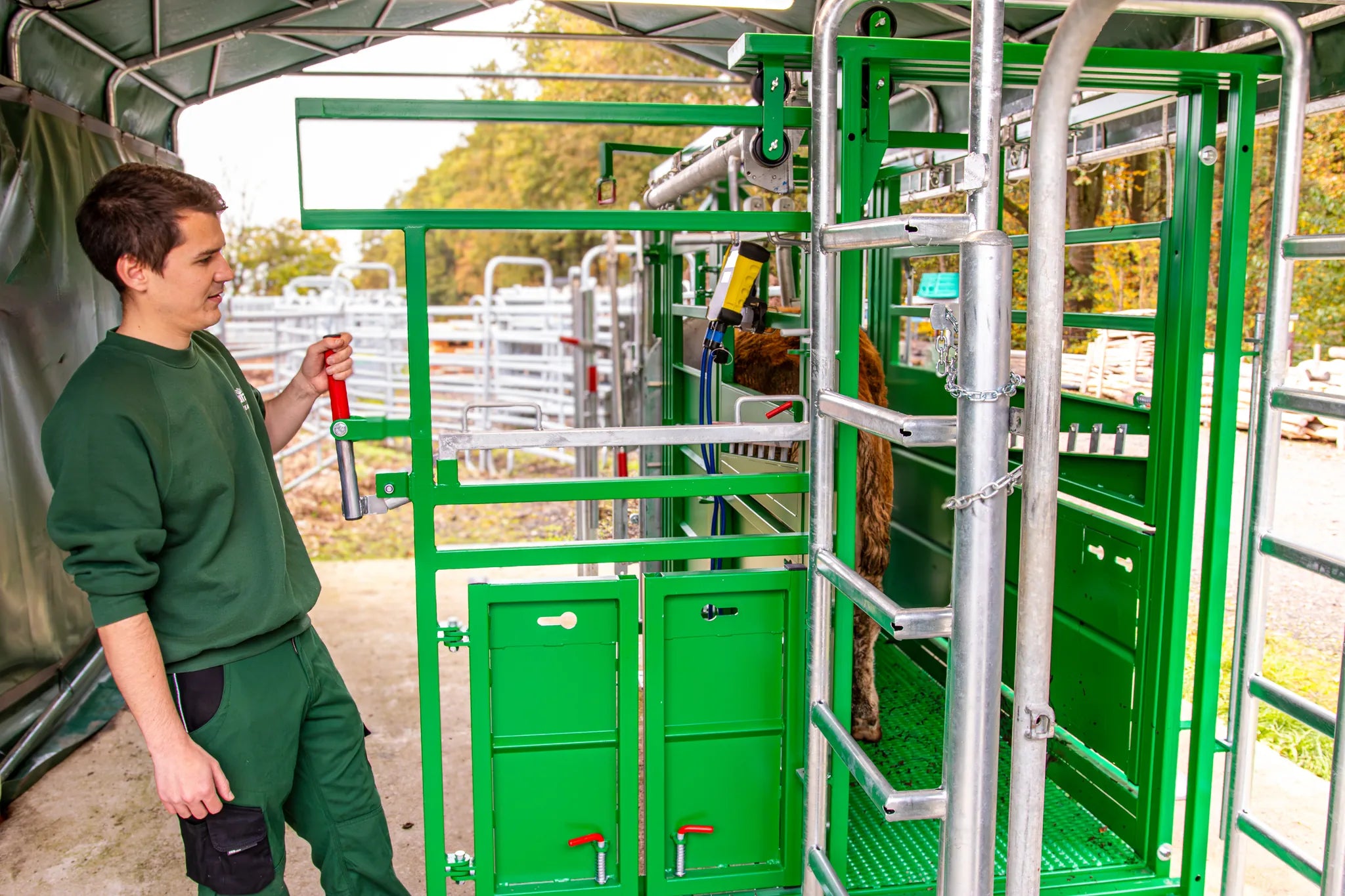 Behandlungsstand A6000 mit Heckschiebetür, Fangkorb 2-flügelig