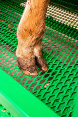 Behandlungsstand A6000 mit Heckschiebetür, Fangkorb 2-flügelig