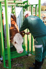 Behandlungsstand A5000