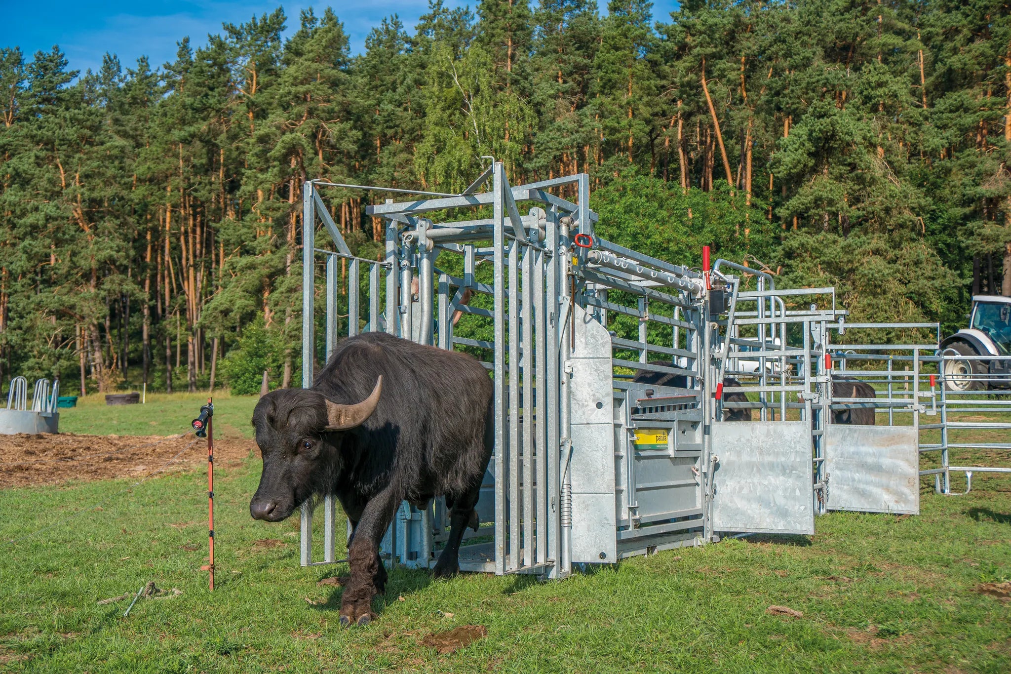 Behandlungsstand A8000 mit Seitenverengung, Heckschiebetüre