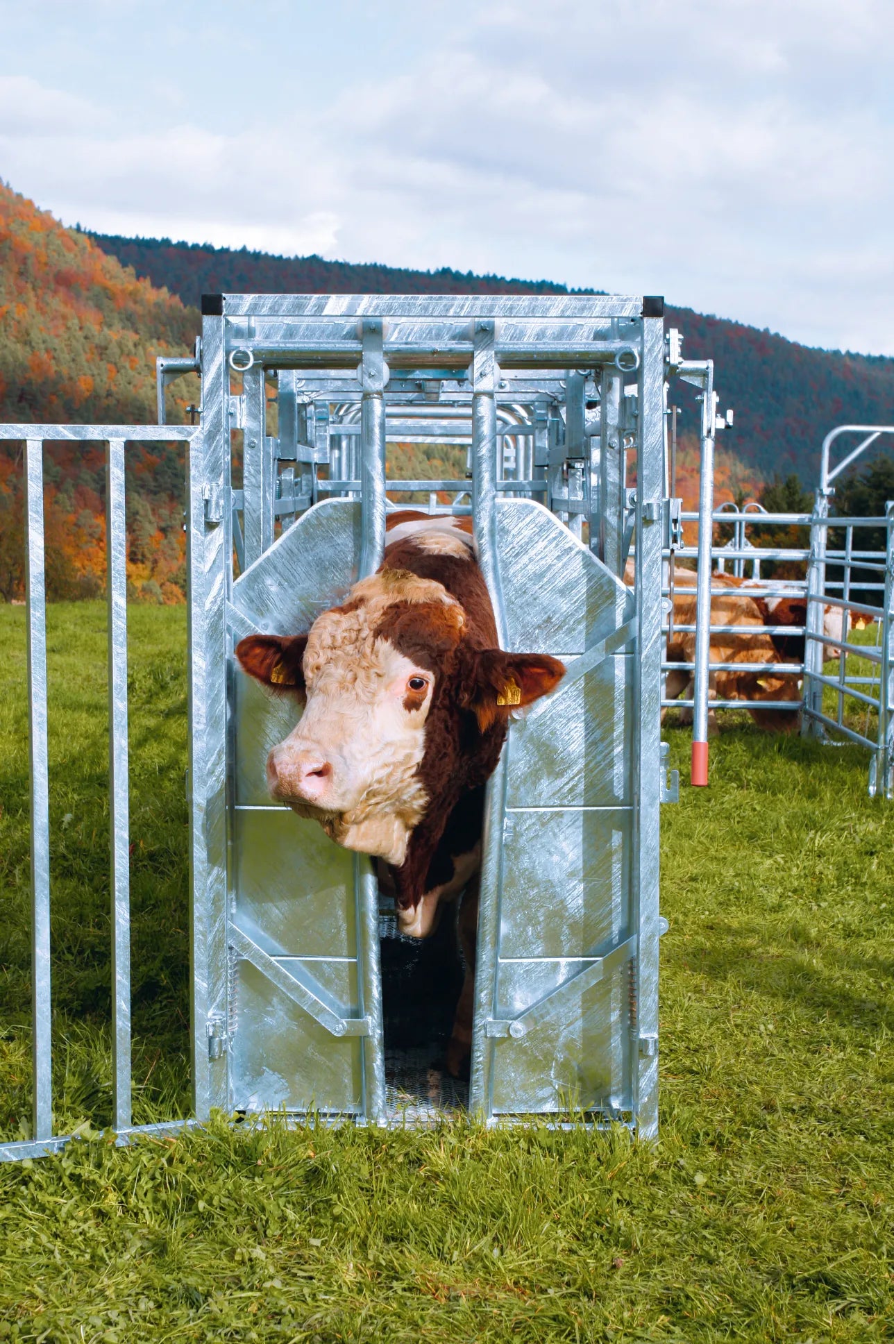 Behandlungsstand A8000 mit Seitenverengung, Heckschiebetüre