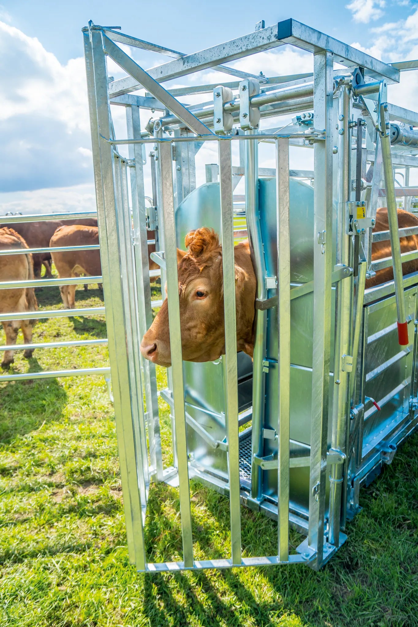 Behandlungsstand A8000 Kaiserschnitt mit Seitenverengung, Heckschiebetüre