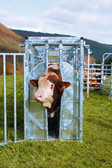 Behandlungsstand A8000 Kaiserschnitt mit Seitenverengung, Heckschiebetüre