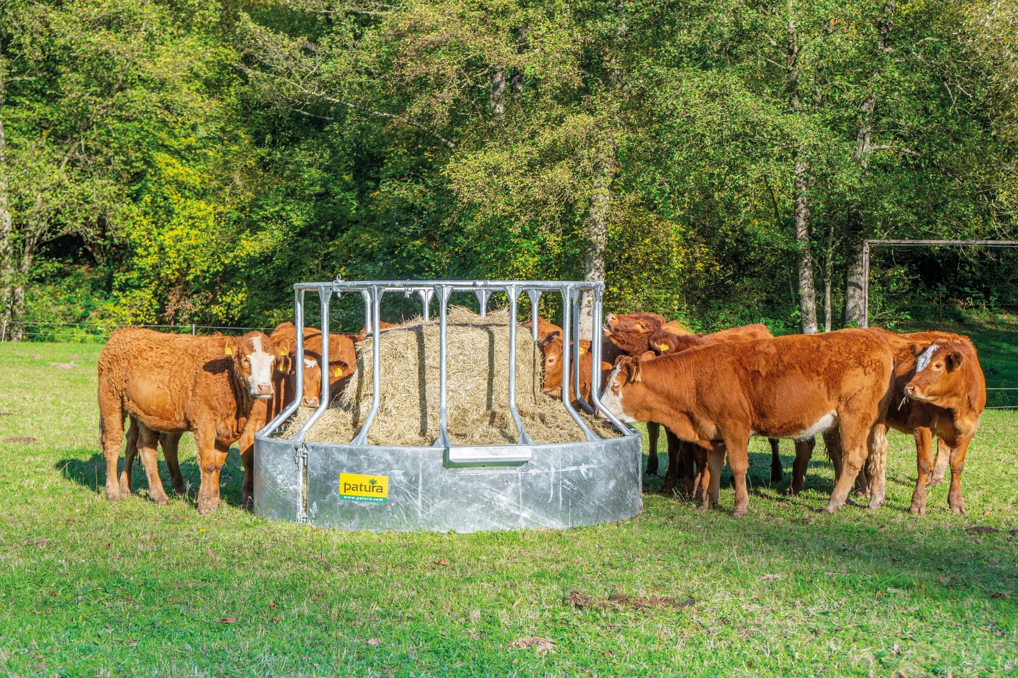 Futterspar-Rundraufe 15 Fressplätze