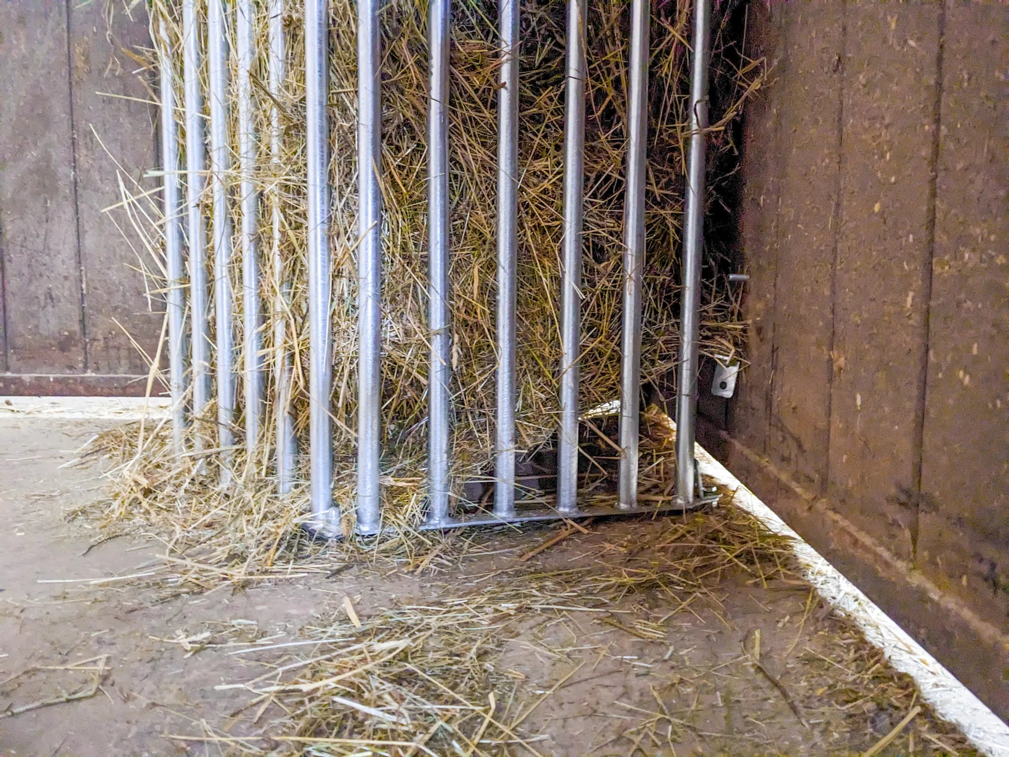 Wandraufe Variabel, Höhe 1,00 m