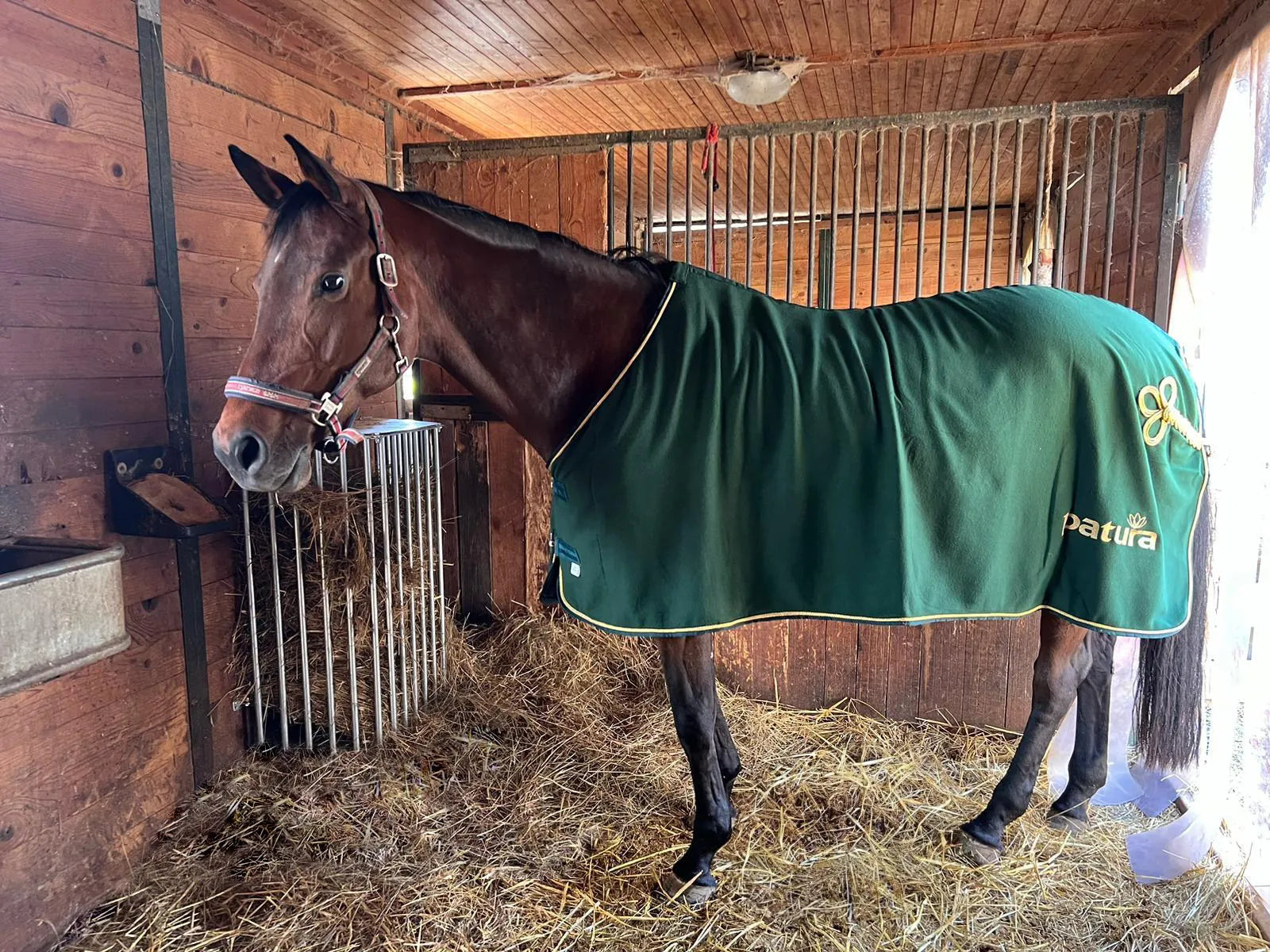 Wandraufe Variabel, Höhe 1,00 m