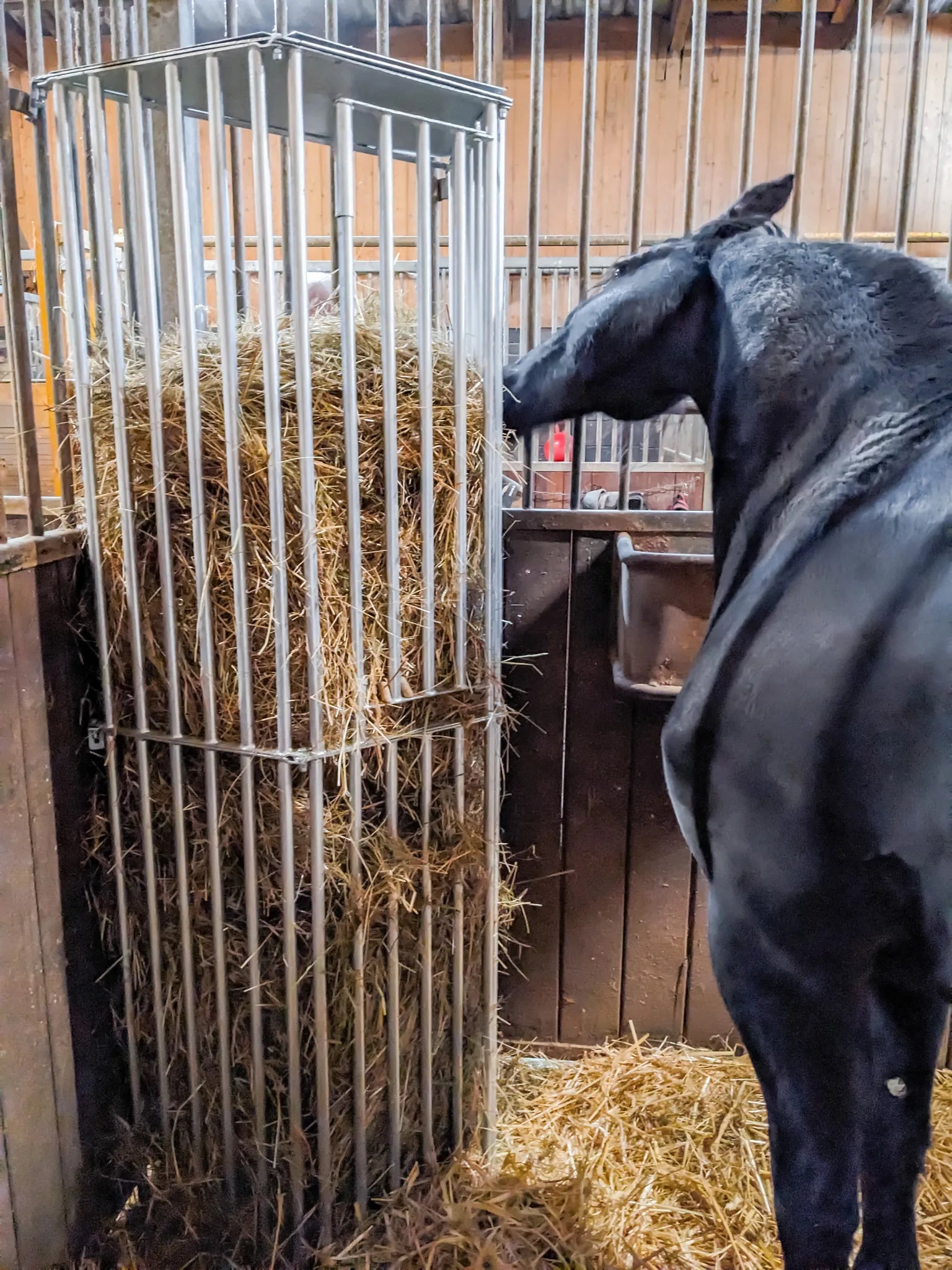 Wandraufe Variabel, Höhe 2,00 m