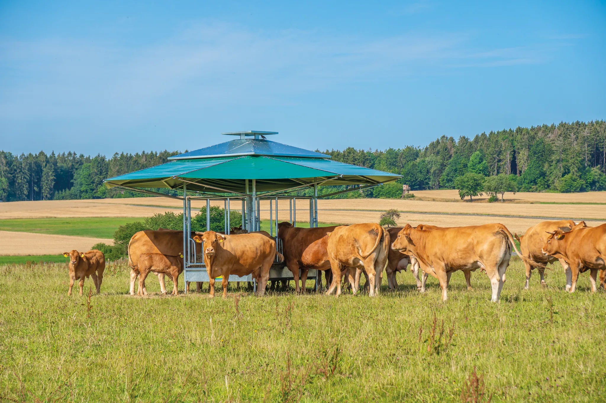 Klima-Dach für alle Profi-Viereckraufen
