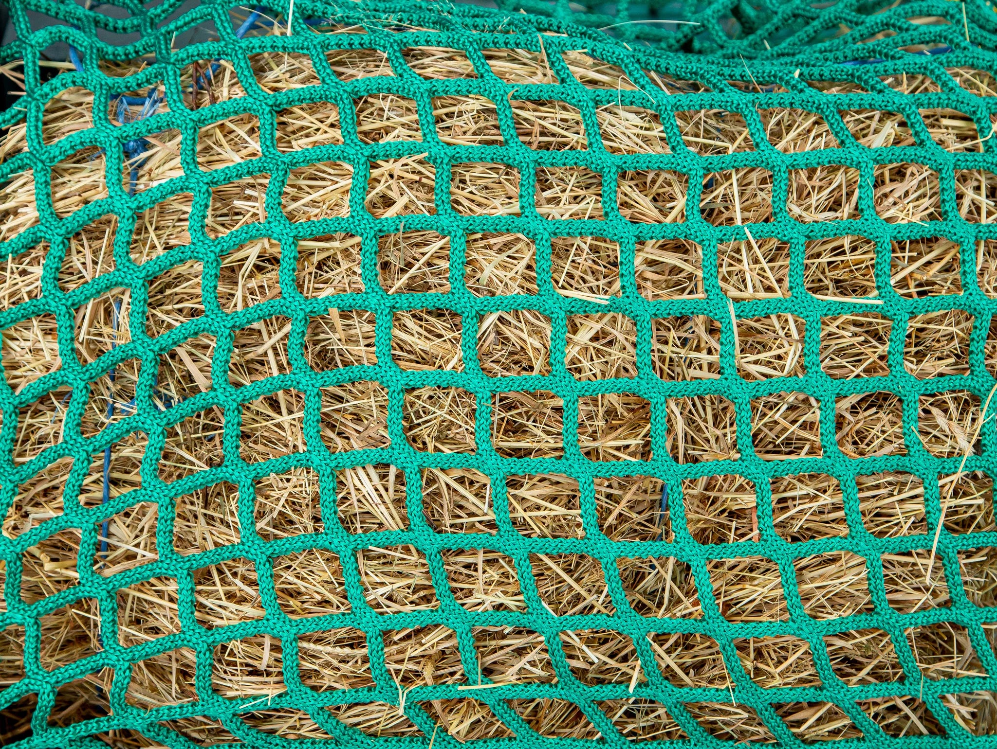 Futtersparnetz 2,80 x 2,80 m Maschenweite 6 cm