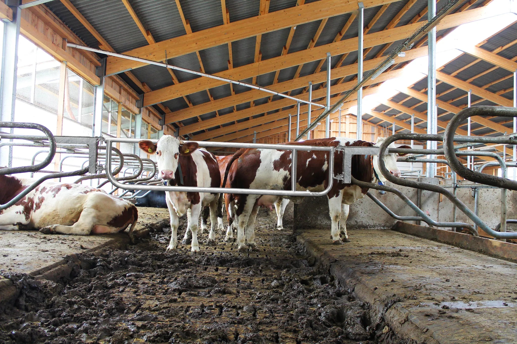 Abtrennung R2LB(4/5), H= 60 cm Montagelänge 3,70 - 4,80 m