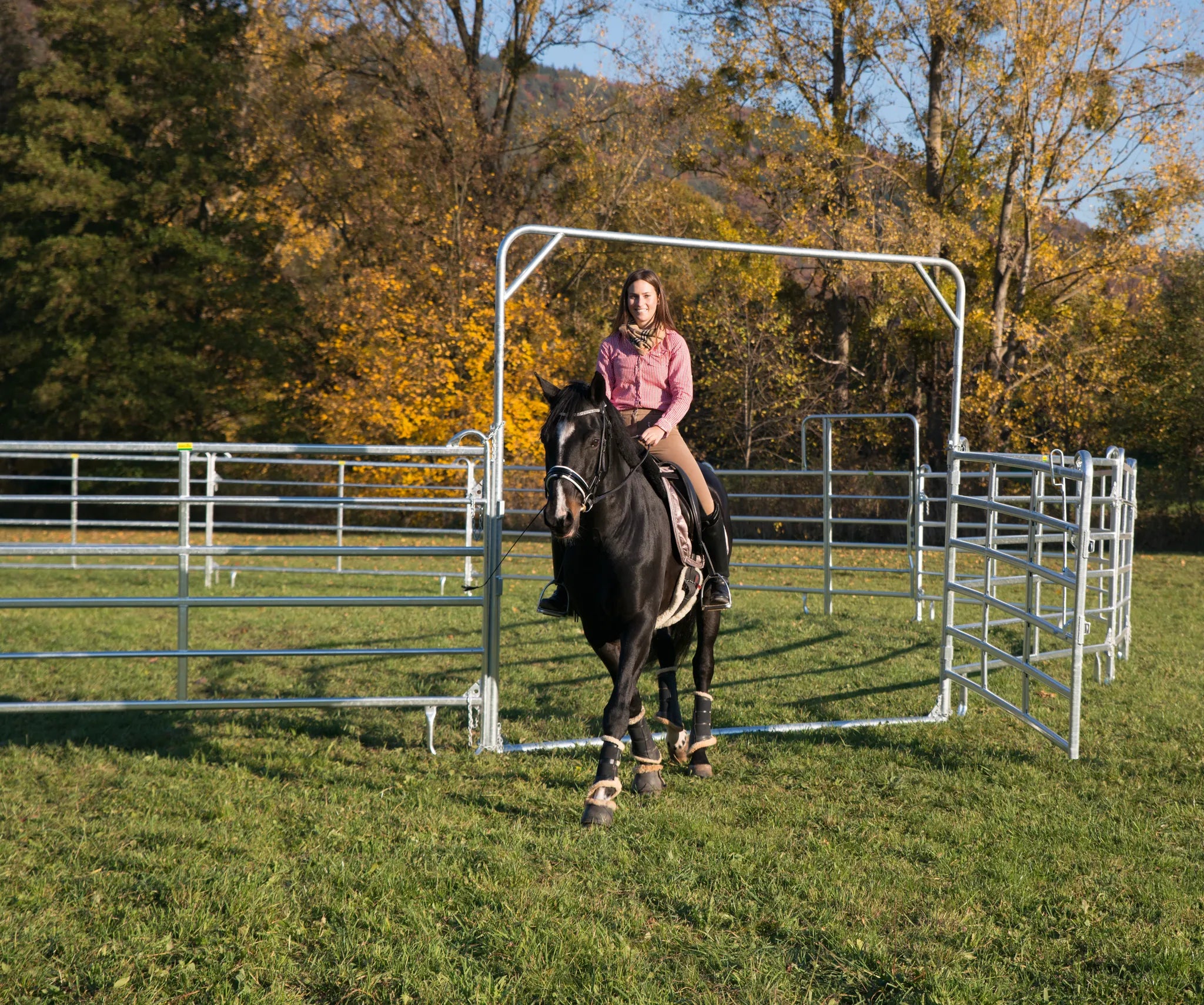 Schwingtor-6 Breite 3,05 m, Höhe 2,20 m + 2,70 m