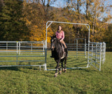 Schwingtor-6 Breite 3,05 m, Höhe 2,20 m + 2,70 m