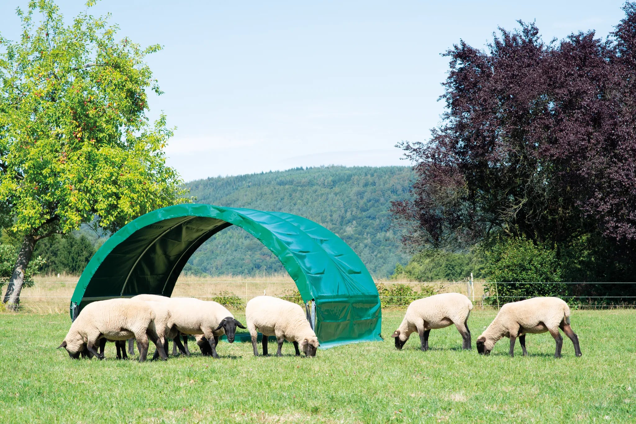 Kleintierzelt 6,00 x 3,60 m