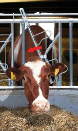 Sicherheits-Selbstfangfressgitter SSV 1/1, 1 Platz, 1 m