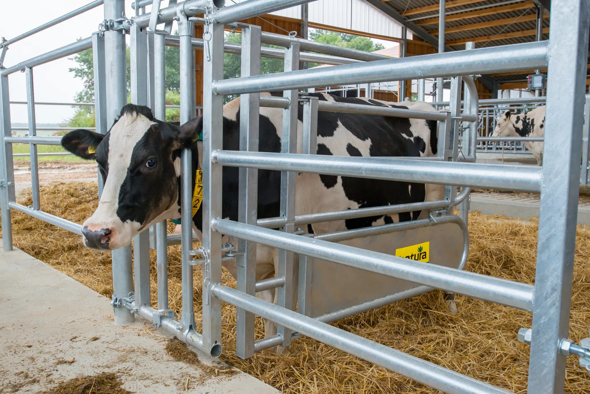 Fressgitter für Tierbehandlung mit Einschub R5