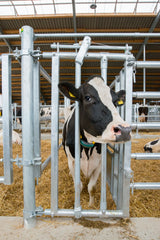 Fressgitter für Tierbehandlung