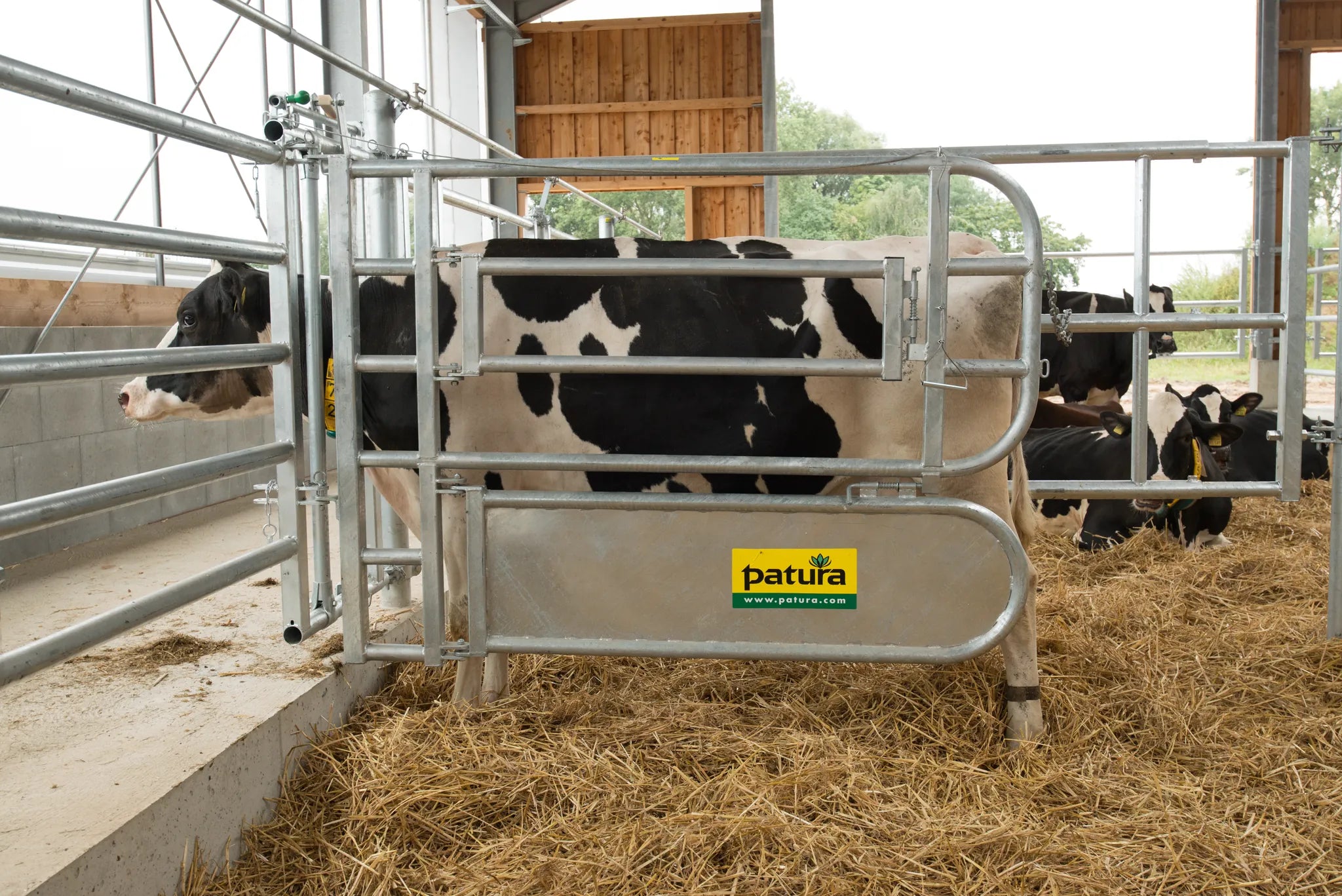 Abtrennung für Tierbehandlung