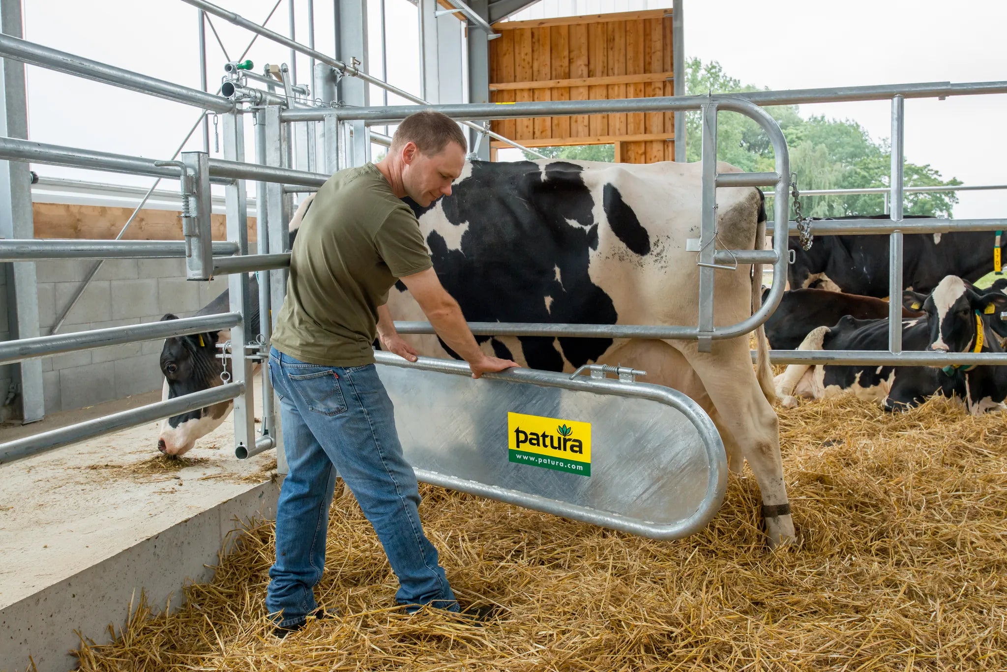 Abtrennung für Tierbehandlung