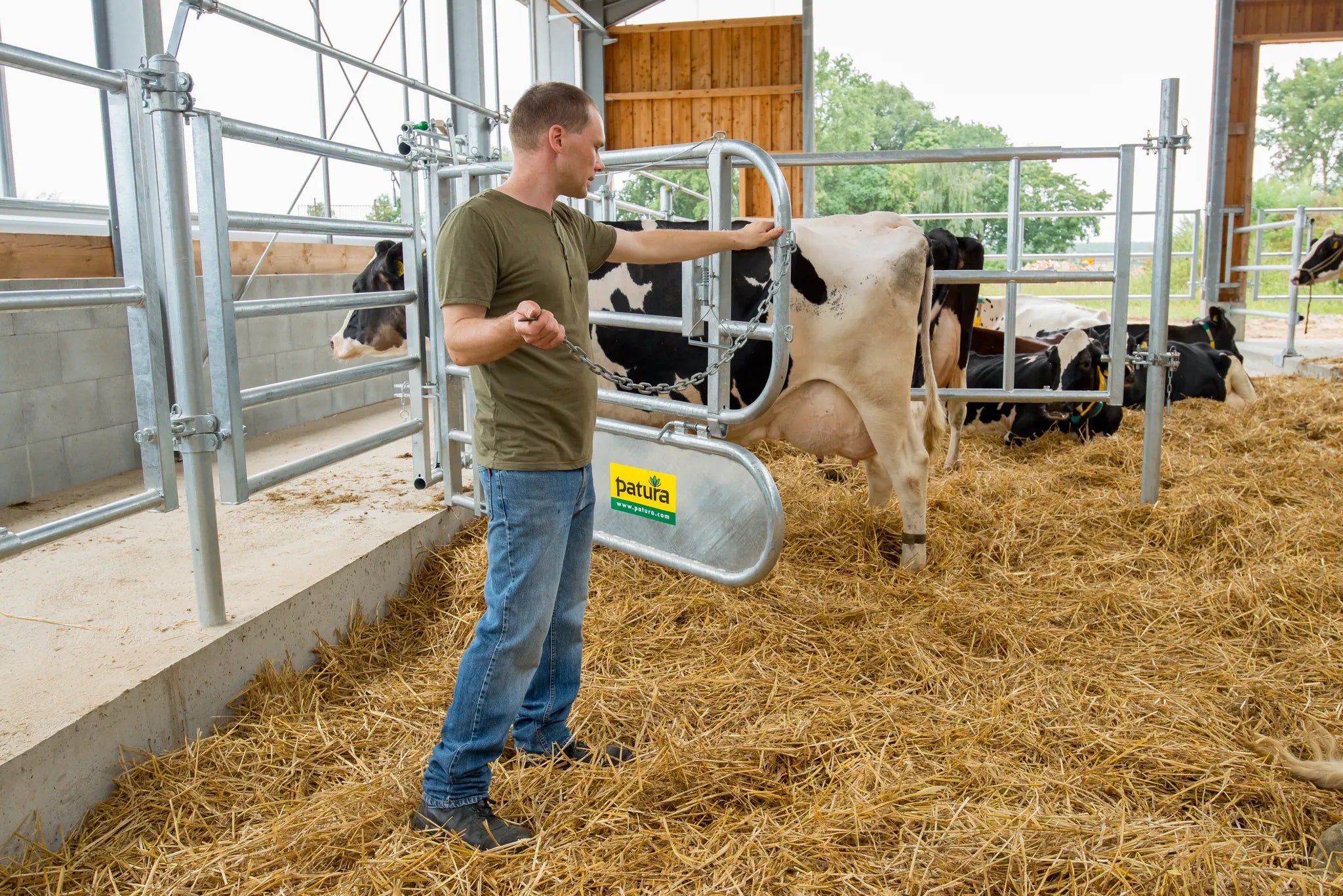 Abtrennung für Tierbehandlung