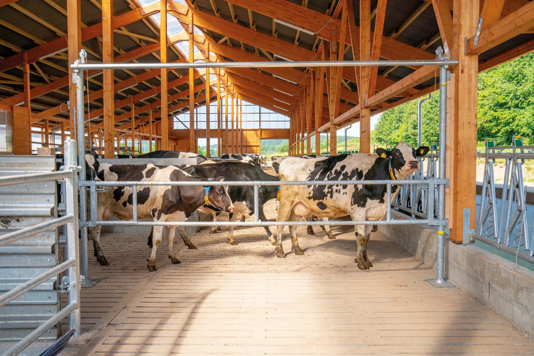 Hubtor für Treibgänge, inkl. Pfosten