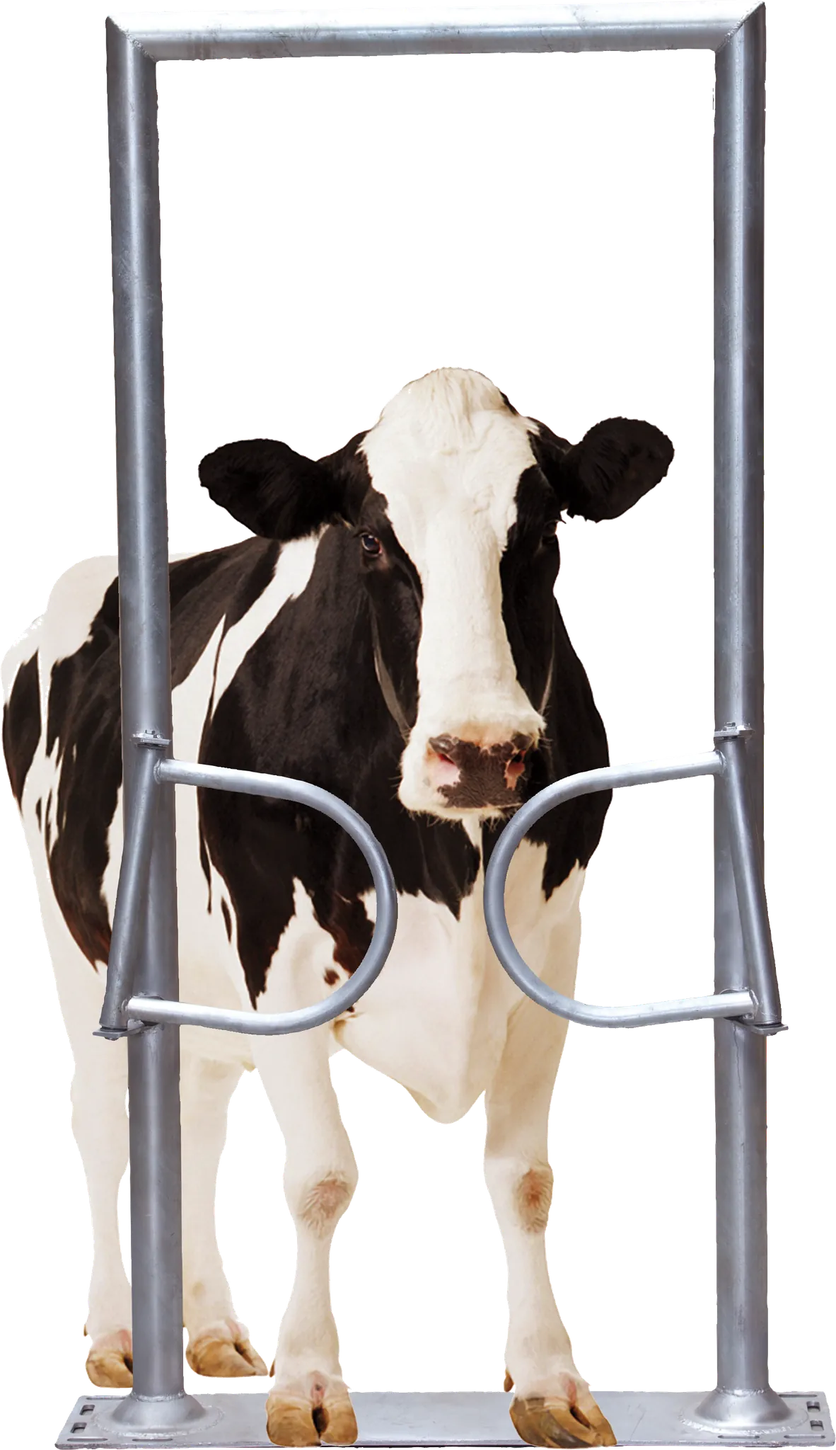 Ein-Wege-Tor, 2-flügelig, mit Rahmen