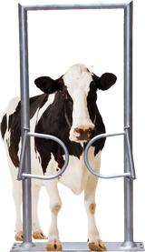 Ein-Wege-Tor, 2-flügelig, mit Rahmen