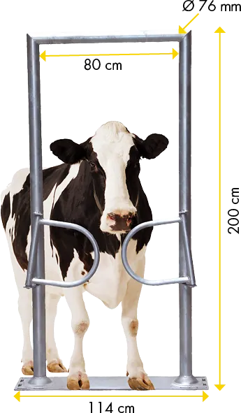 Ein-Wege-Tor, 2-flügelig, mit Rahmen