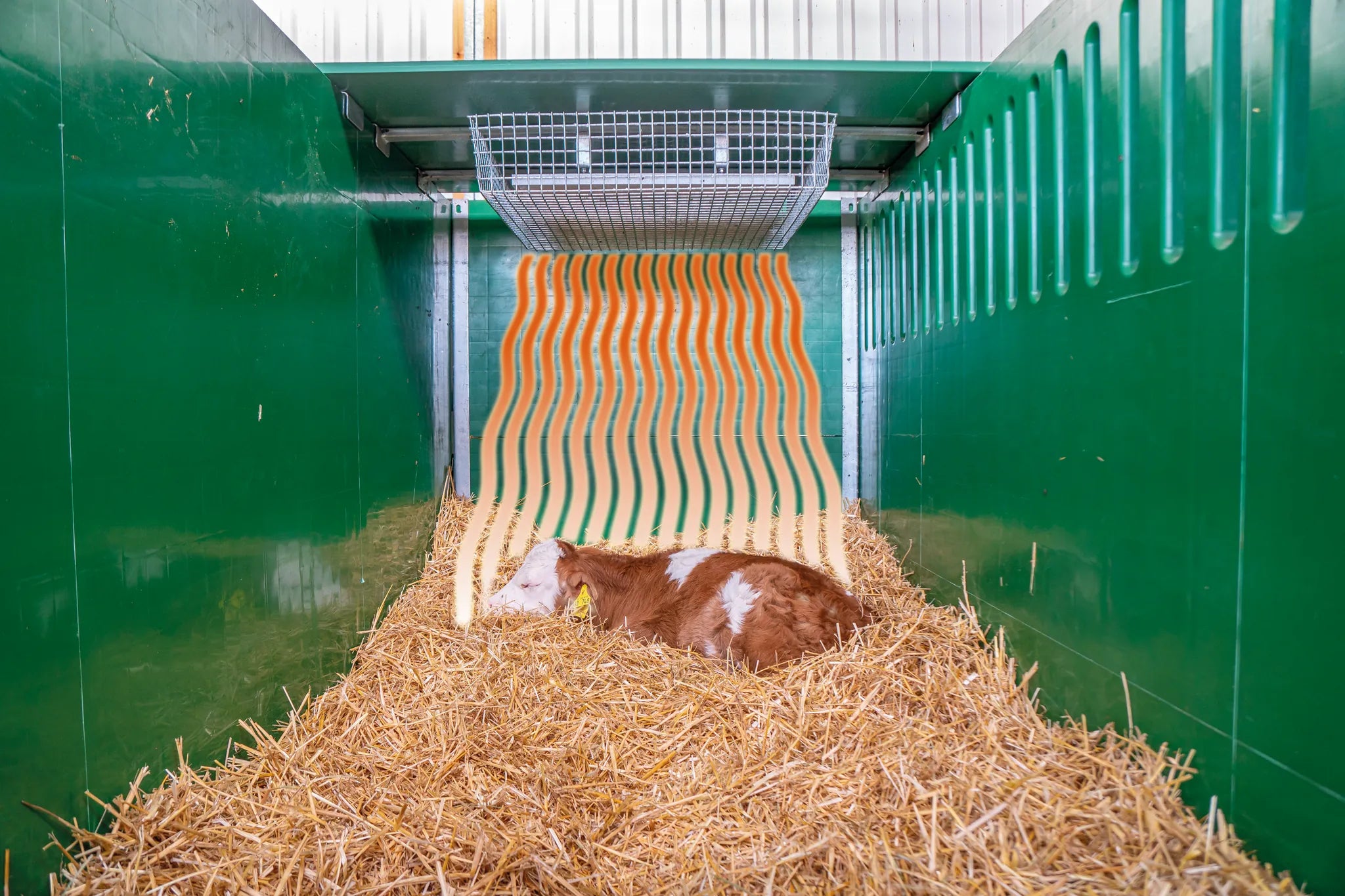 Abdeckung Kälberbox mit Wärmeplatte inkl. Halterahmen und Schutzkorb