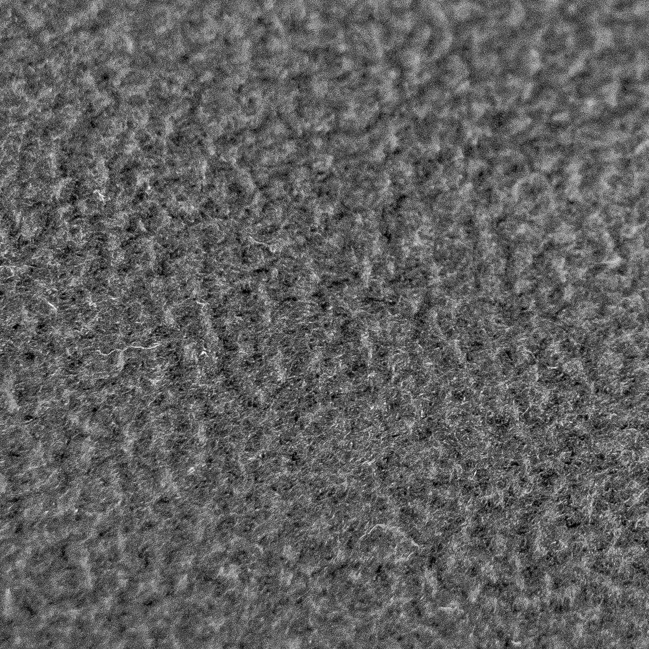 PATURA Kälberdecke Fleece Größe S Rückenlänge 60 cm