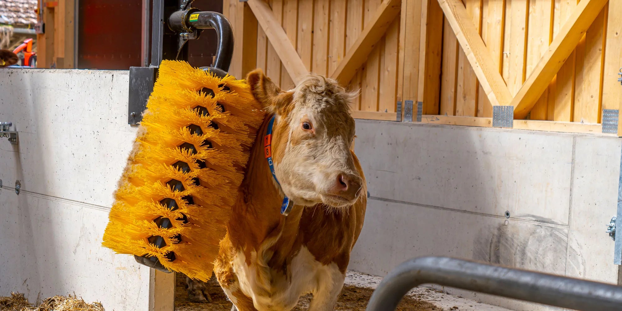 Schwingbürste Maxi für Rinder und Großpferde
