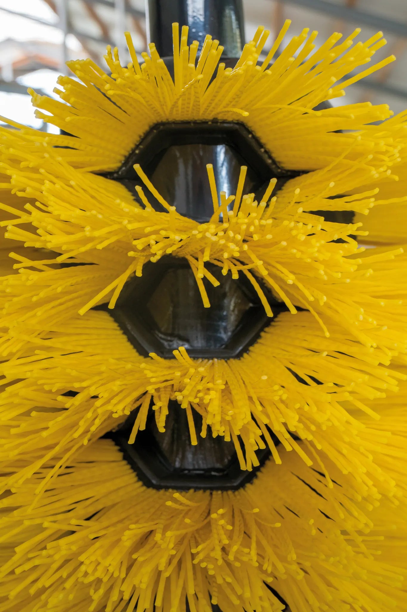 Schwingbürste Maxi für Rinder und Großpferde