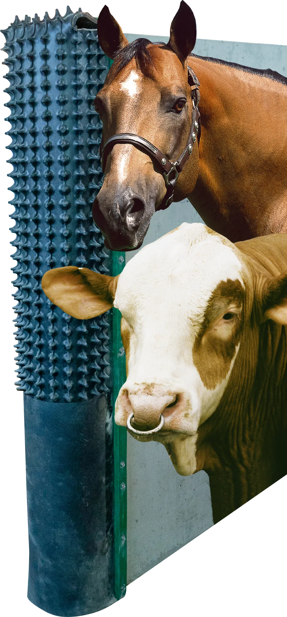 PATURA Kratzmatte inkl. Montagematerial und Karton